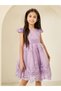 Toddler Girl embroidered mesh dress