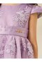 Toddler Girl embroidered mesh dress - 3