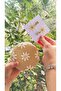Girl's Straw Ecru Daisy Figured Shoulder Bag and Buckle Set – Holiday Gift