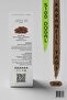 KARANFİL YAĞI 20ml - 2
