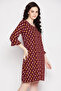Dragonfly Print Short Nighty in Multicolour - 100% Cotton - 4