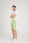 Avocado Side Stripe Embroidery Detailed Men's Shorts with Hidden Zipper - 4