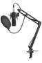Microfon XLR Radium 300