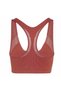 Women's Brown Sports Bra Asmc Tpr Pi Bra Jy8134 - 2