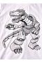 Boys Dinosaur Graphic T-Shirt & Black Shorts Set - 5