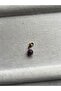 Amethyst Stone Take-Out and Put-In Natural Stone Charm |   Adapt to Your Daily Life