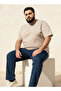 Men Regular Fit Crew Neck Short Sleeves Tonal Embroidered T-shirt - 2