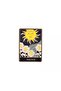 بروش لوحة الشمس The sun