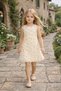 Rose Textured Stylish Girls' Dress - Elegant Choice for Special Occasions. - 5