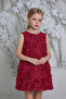 Rose Textured Stylish Girls' Dress - Elegant Choice for Special Occasions.