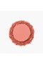 Pink Perfection Color and Art Blush - 3