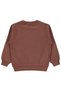 Boy's Tili Raccoon Bear Printed Sweatshirt Km |   Interlock |   School Nursery and Daily Use - Brown - 2