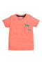 Infant Boys’ Multipack (4 Pack) – Graphic T-Shirts & Shorts Set - 2