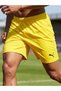 Men's Running Quick Dry Micropoly Training Field Fitness Short Tights Outdoor Shorts