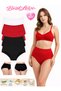 Women's Panties, Women's High Waist Bato Panties 5-Piece Multicolor Pack