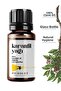 Clove Essential Oil 10 ml 100% Pure and Natural (Clove Essential Oil)
