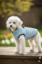 Cat - Dog Winter Inflatable Vest - Coat - Raincoat