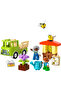 DUPLO Town Caring for Bees & Beehives 10419 Building Set for 2+ Year Old Kids (22 Pieces) - 2