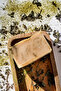 Green Tea & Avocado Soap - 2
