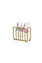 2-Piece Matte Gold Serving Presentation Set Multi-Purpose Organizer and Cage Napkin Holder Stainless Metal - 2