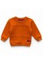 Boy's Crew Neck Sweatshirt with Stitching Detail - 4
