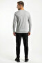 Men's Crew Neck Long Sleeve Regular Fit Basic T-Shirt Gray Melange - 4