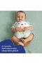 Plush Interactive Toy - 3