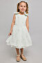 Embellisged Sleeveless Fit & Flare Dress - 4