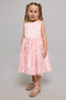 Girl'S Pink Appliqued Sleeveless Fit & Flare Dress - 2