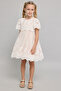 Embroidered Fit & Flare Dress With Crew Neck And Flared Sleeves