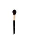 Blush Brush - 3