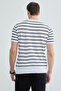 Striped Crew Neck Knitwear T-Shirt - 8