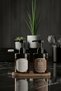 Set of 2 Amber Soap Dispensers with Wooden Stand 220 ml - Kitchen Detergent Dispenser and Liquid Soap Dispenser - 220Hdgcoval - 7
