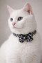 Black and White Rubber Striped Bow Tie Cat Dog Leash 33cm - 2