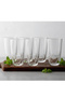 Glass Tumbler Set 6PCS 315ML,Clear Water Juice Drinking Glass,Durable Home & Office