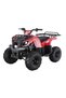 Quad Bike Electric ATV 36 V Red TG-250/PR 025-01 - 7