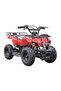 Quad Bike Electric ATV 36 V Red TG-250/PR 025-01 - 6