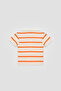 Baby Boy Striped Tshirt - 3