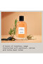 Collection Amber Breeze Eau de Parfum 50ml - 3