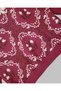 Girl's Seasonal Antique Patterned Baby Collar 2-3-4-5-6 Years Old 2 Thread Stylish Tracksuit Set - 5