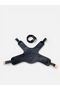 Classic Dog Harness Set Includes Anti-Pull/Breathable Fabric/Walking Strap - 4