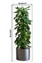 Adhesive Sticker Picture with Potted Plant Design 90*30 cm Mc-665 - 4