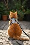 Classic Cat Harness Set Anti-Escape/Breathable Fabric/Includes Walking Strap - 2