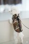 Cat - Dog Waterproof Winter Camouflage Vest with Fleece Inside - Coat - Raincoat - Sweatshirt - Clothing - 2