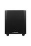 T10S - Subwoofer activ