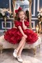 Puffy Birthday Party Dress Celebration Gown