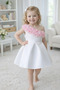 Girl's Floral Dress Birthday Feast Special Occasion Dress