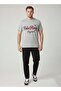 Mens Graphic T-shirt -GREY