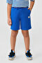 Boy Saxe Shorts - 2