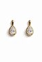 Drop Stone Gold Earrings
